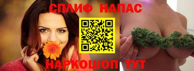 гашик Железногорск