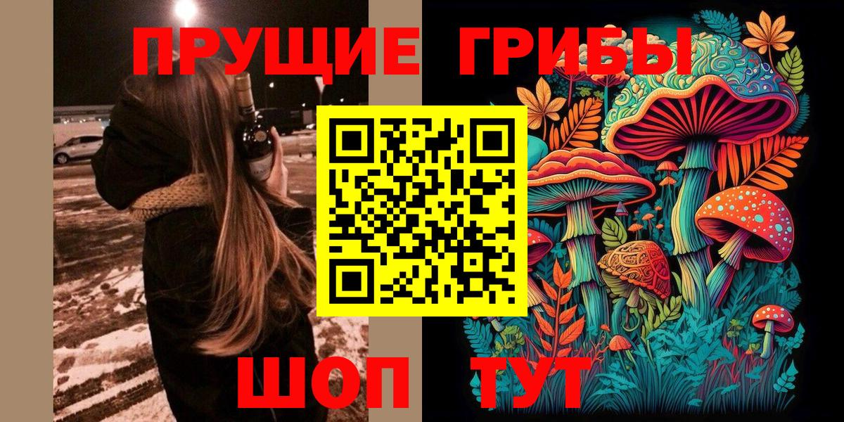 как найти закладки  Псилоцибиновые грибы Psilocybe  Вход с VPN  Псилоцибиновые грибы Psilocybe  Муравленко 