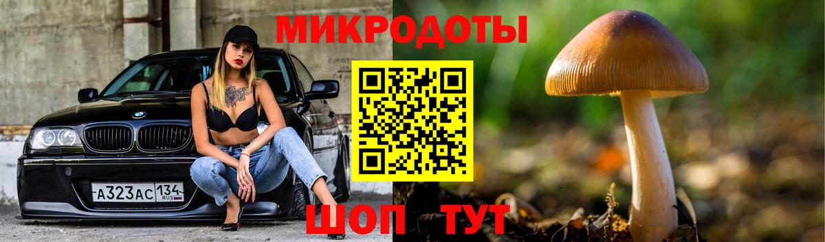 Псилоцибиновые грибы GOLDEN TEACHER Муравленко